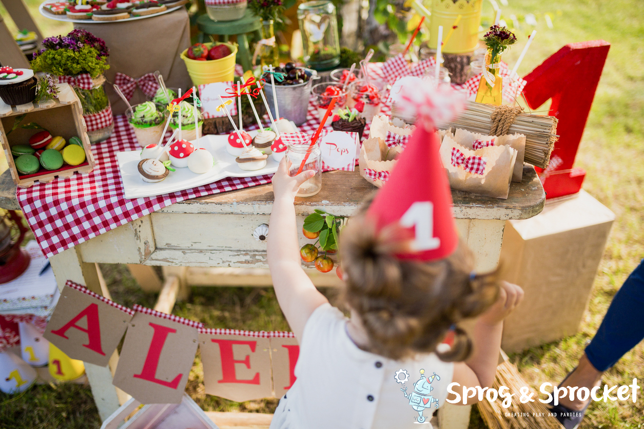 Planning Your Kid’s Party Without Losing Your Mind – Part 1