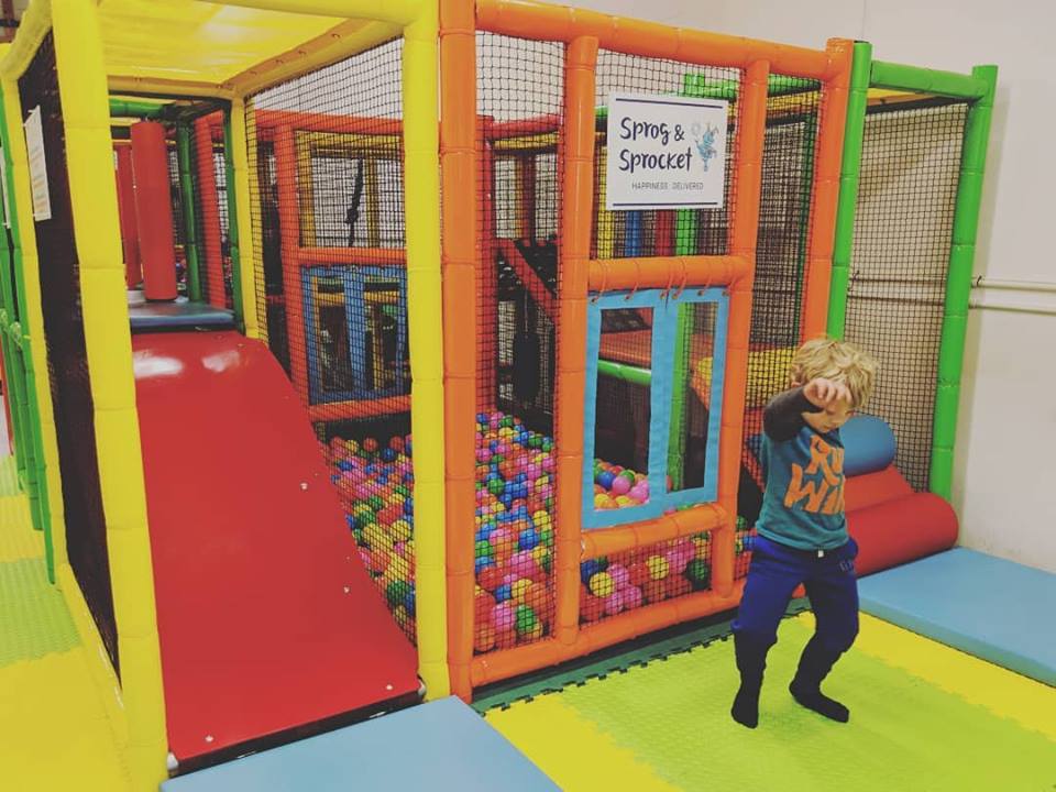 Sprog & Sprocket vs Bounce House & Inflatable Rentals